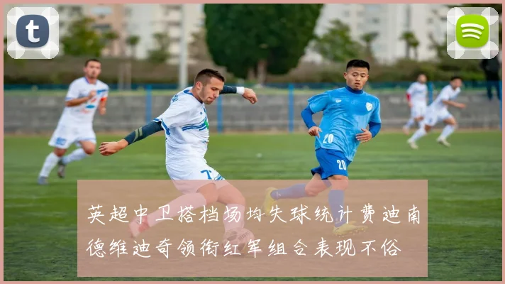 英超中卫搭档场均失球统计费迪南德维迪奇领衔红军组合表现不俗