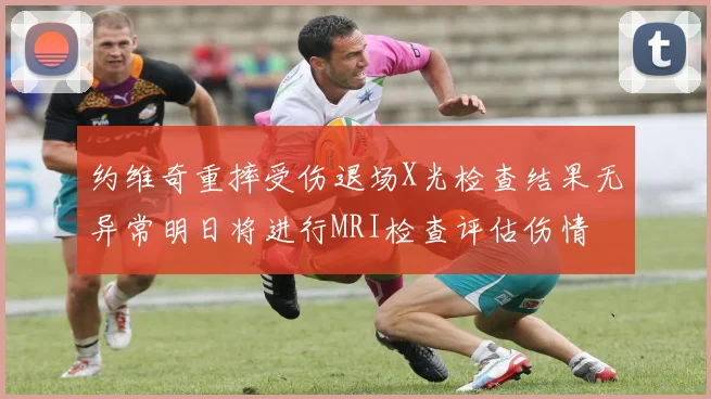 约维奇重摔受伤退场X光检查结果无异常明日将进行MRI检查评估伤情